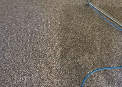 Affordable Carpet Cleaning