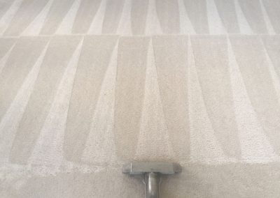Affordable Carpet Cleaning Service Tracy CA