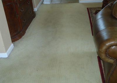 Carpet Cleaning Service