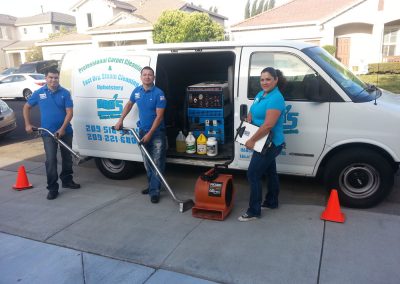 Professional Carpet Cleaner