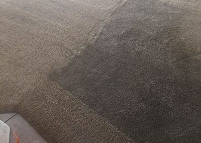 Professional Carpet Cleaning Tracy CA
